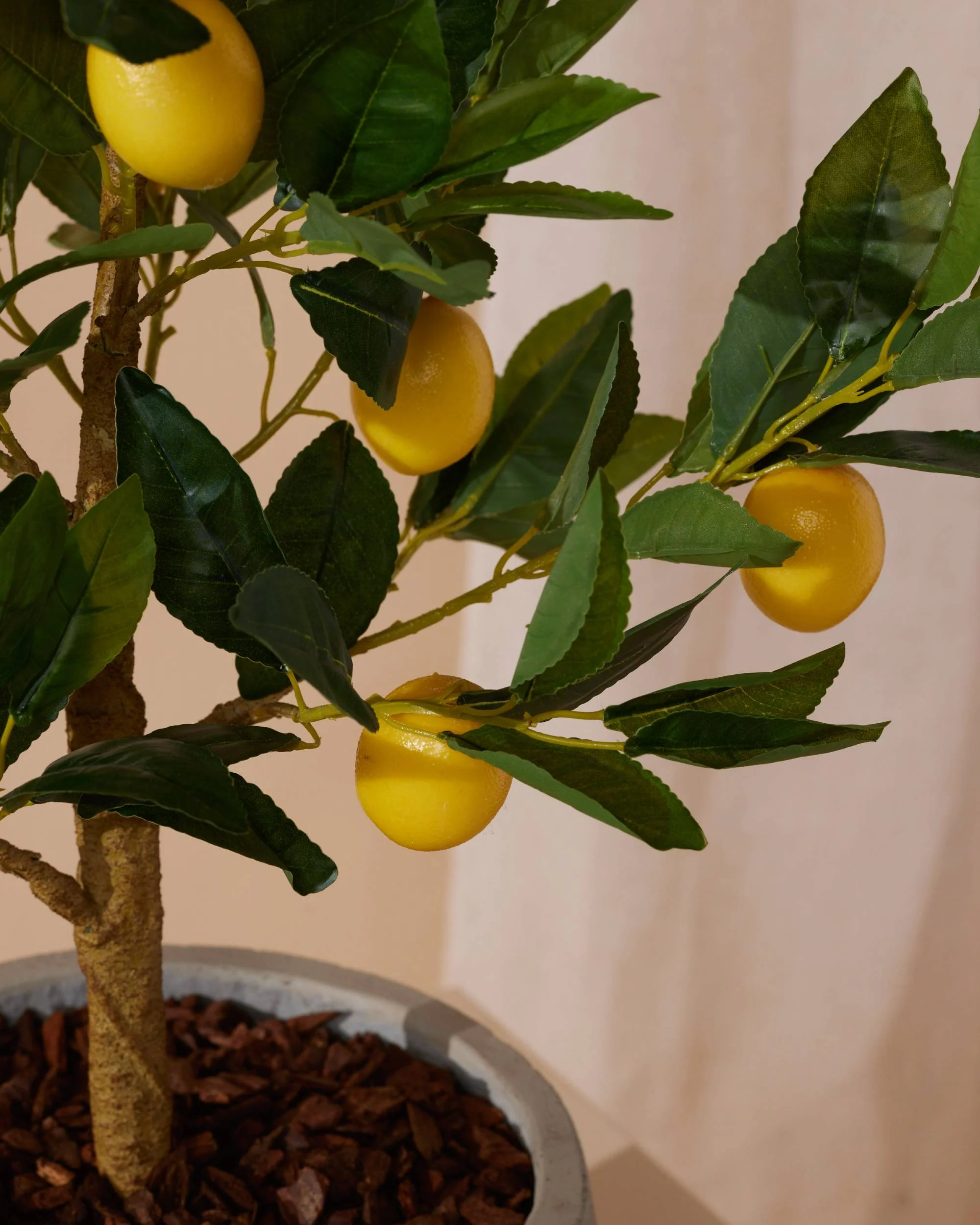 Kunstboompje Citroen 72 cm - Image 4