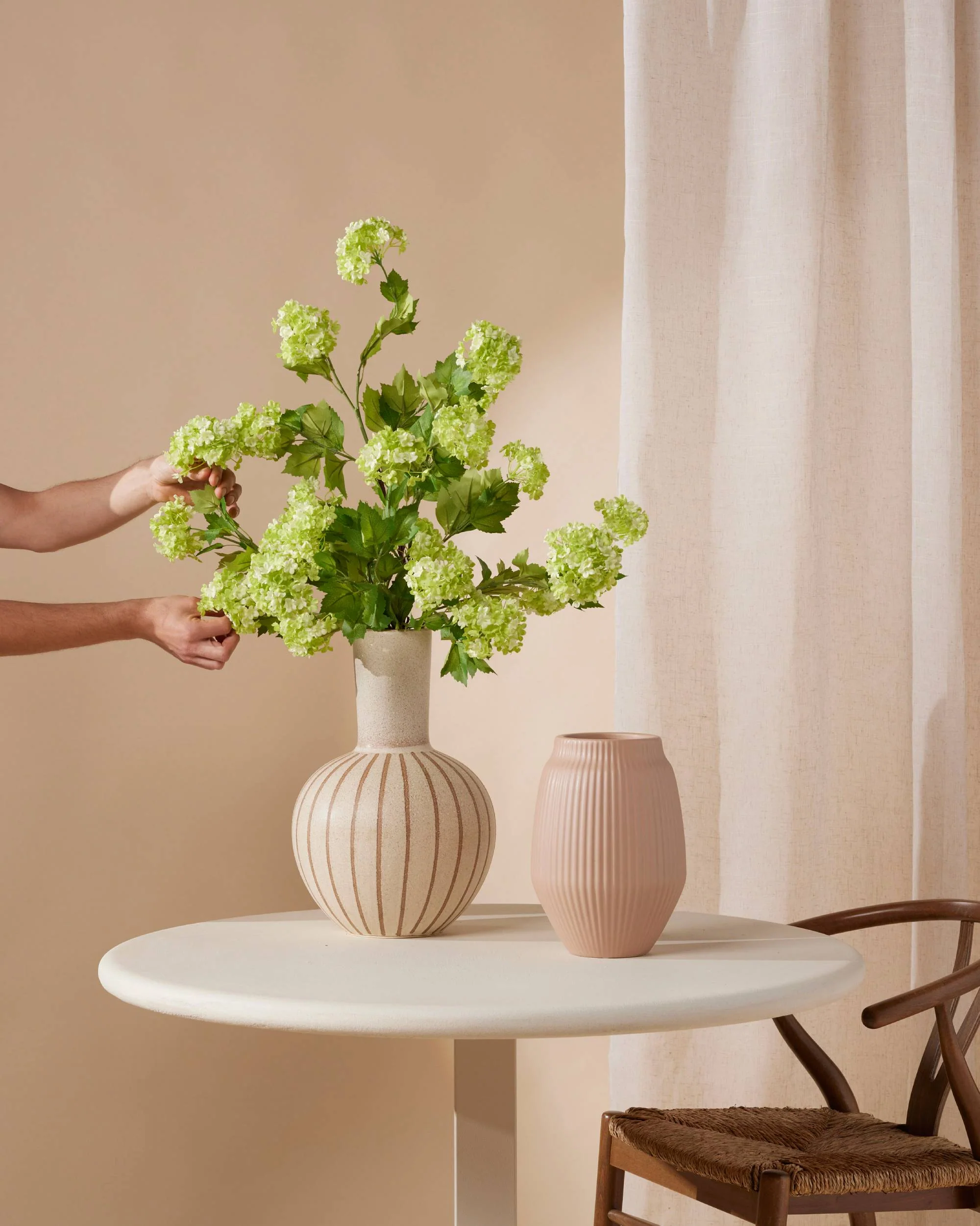 Vijf Viburnums 85 cm - Image 3