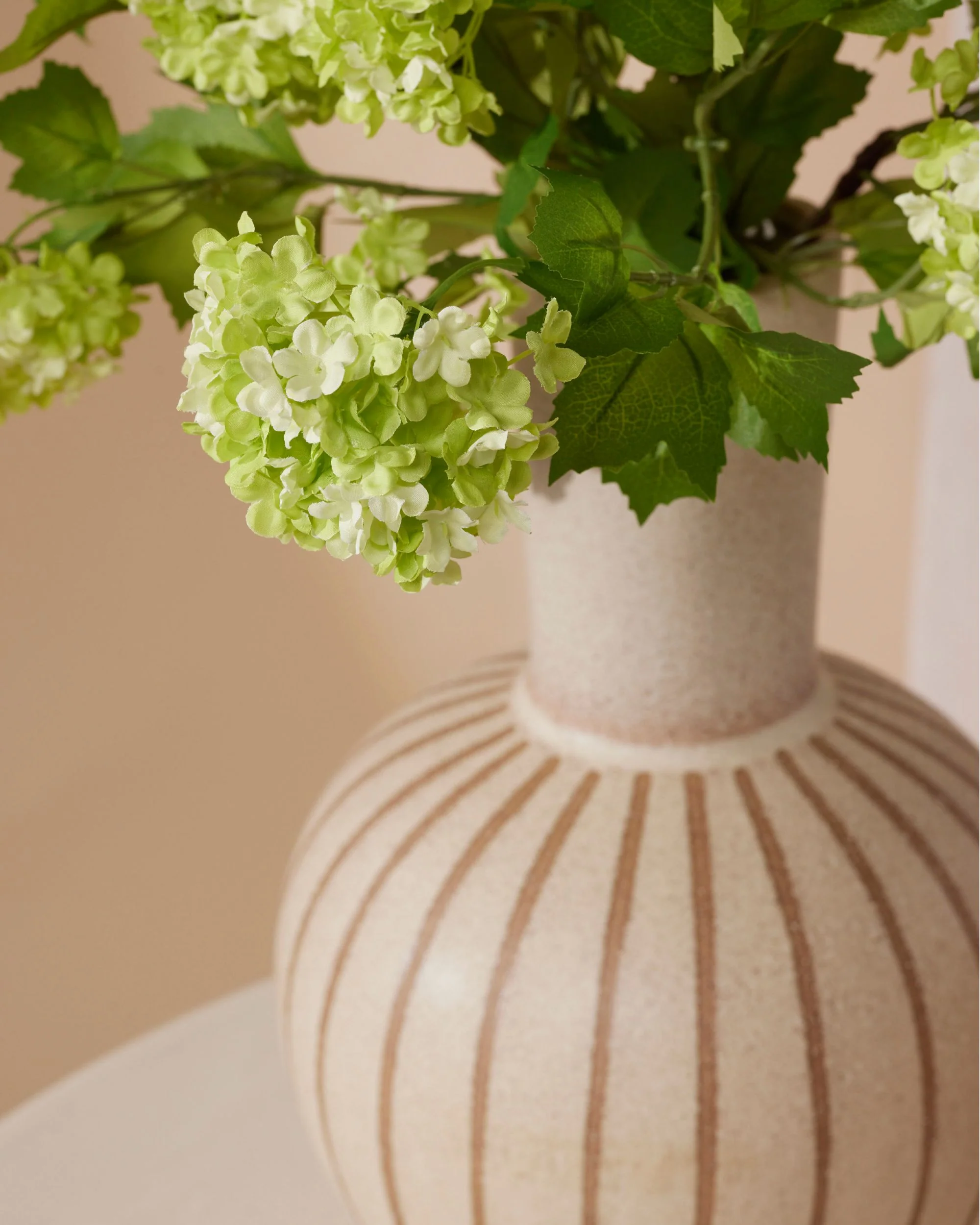 Vijf Viburnums 85 cm - Image 4