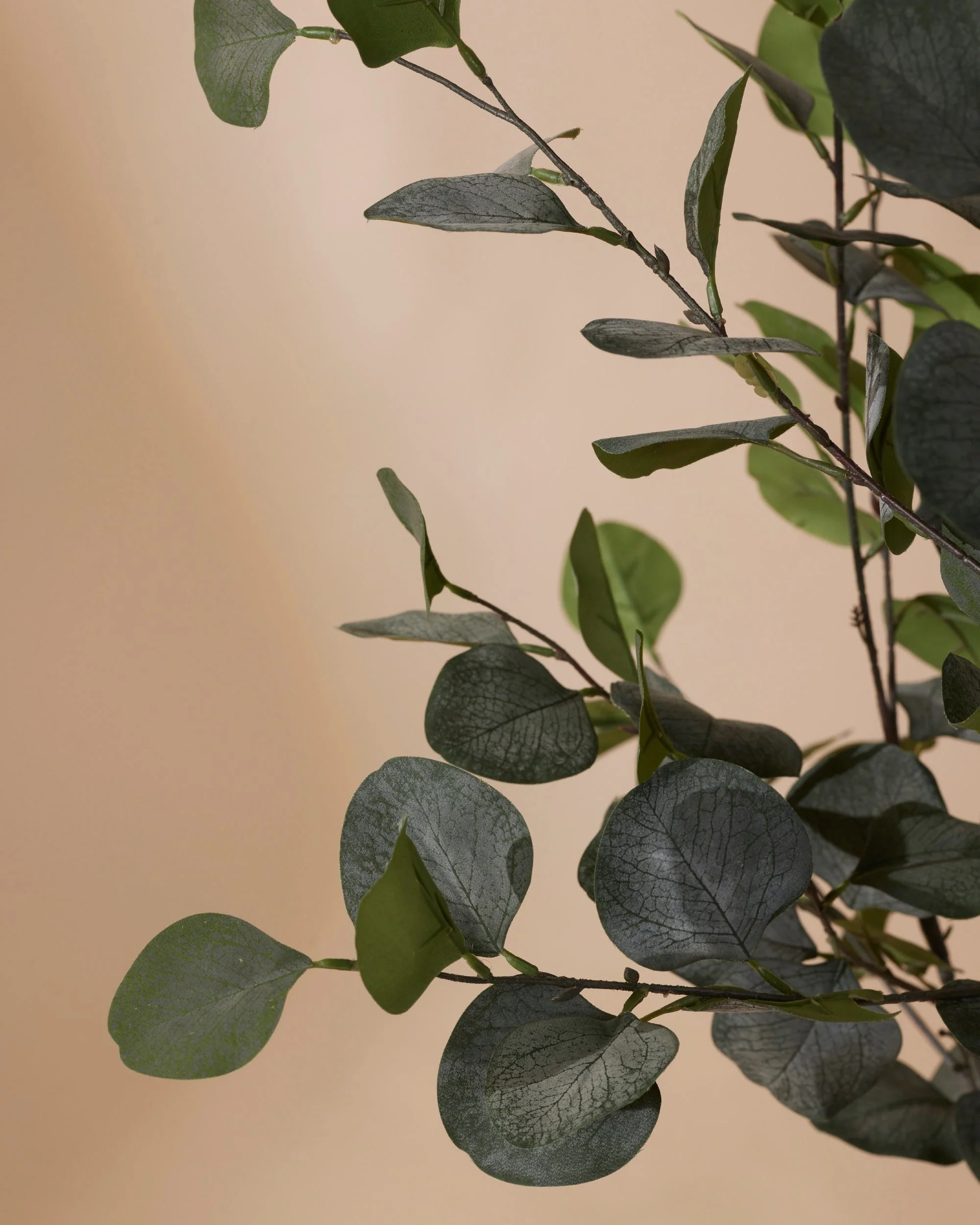 Kunstboom Eucalyptus 180 cm - Image 3