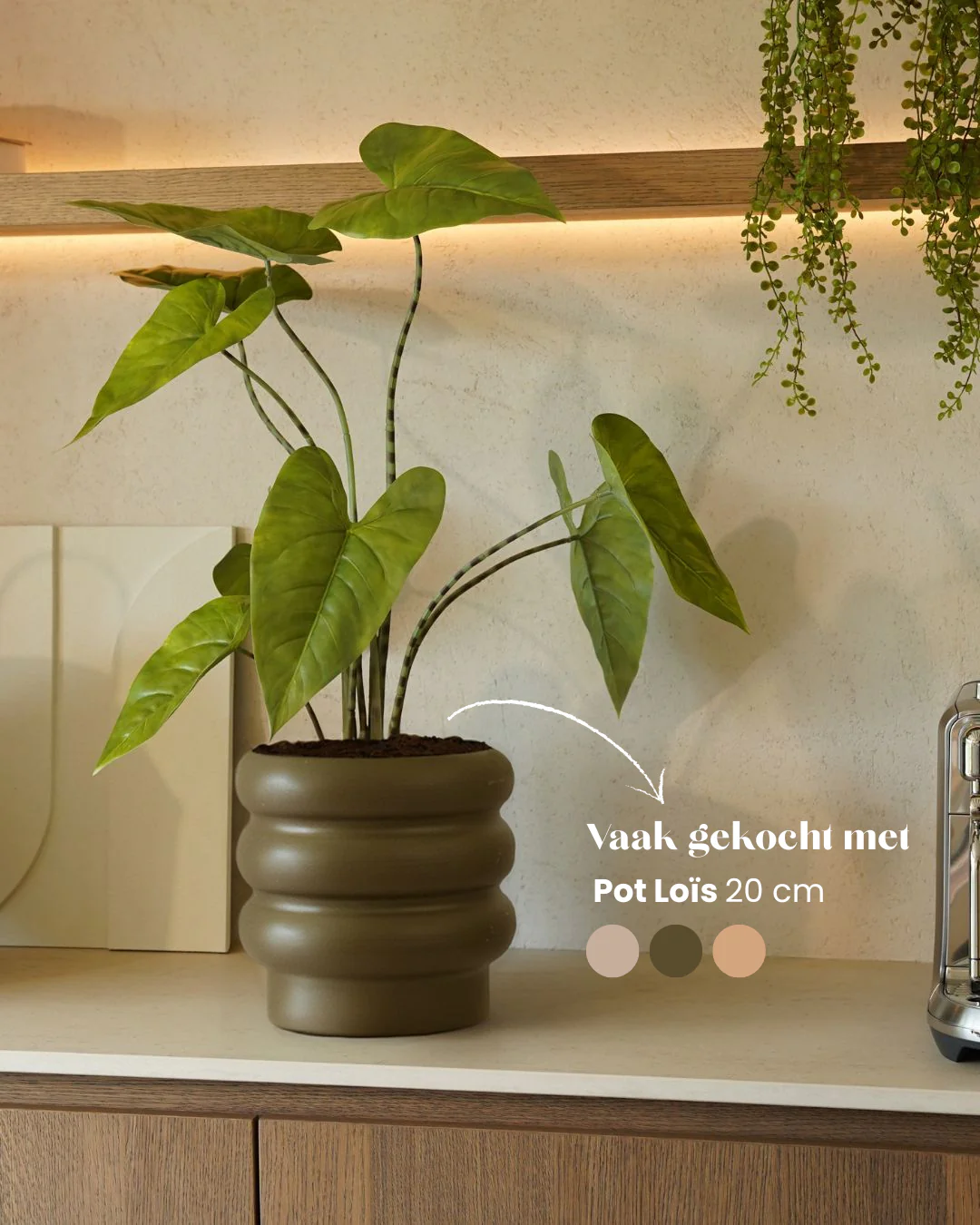 Kunstplant Alocasia zebrina 75 cm - Image 3