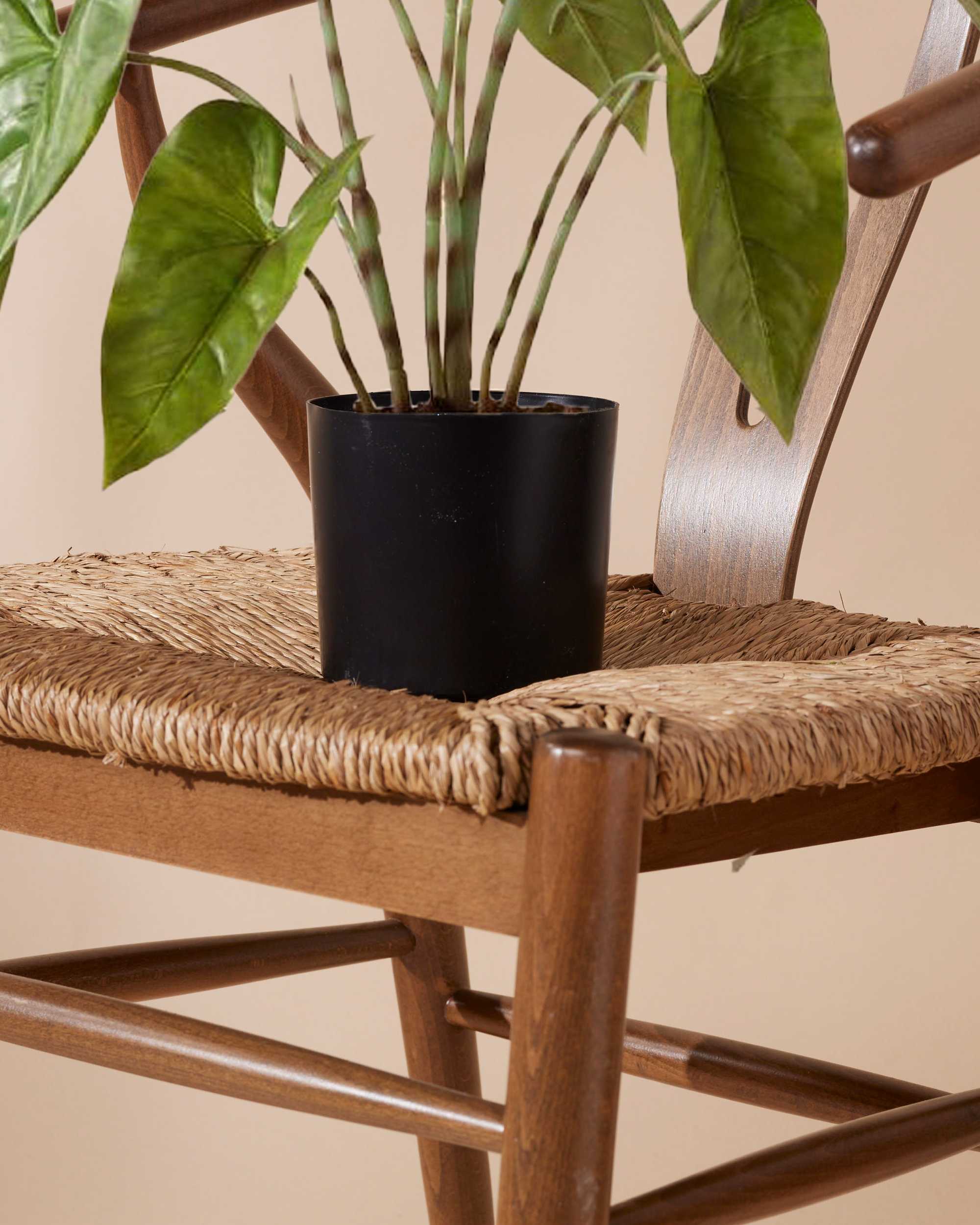 Kunstplant Alocasia zebrina 75 cm - Image 6