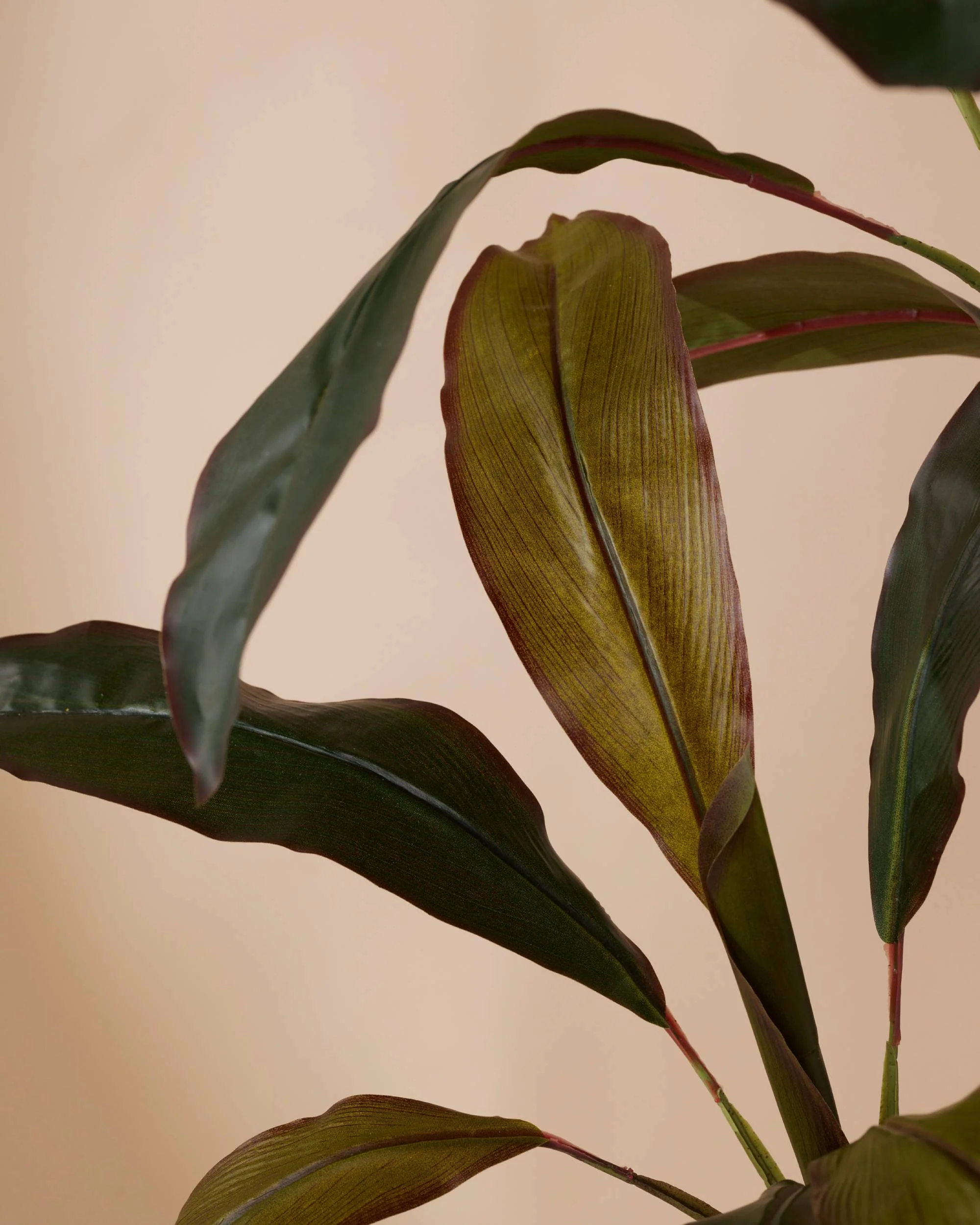 Kunstplant Cordyline 105 cm - Image 4