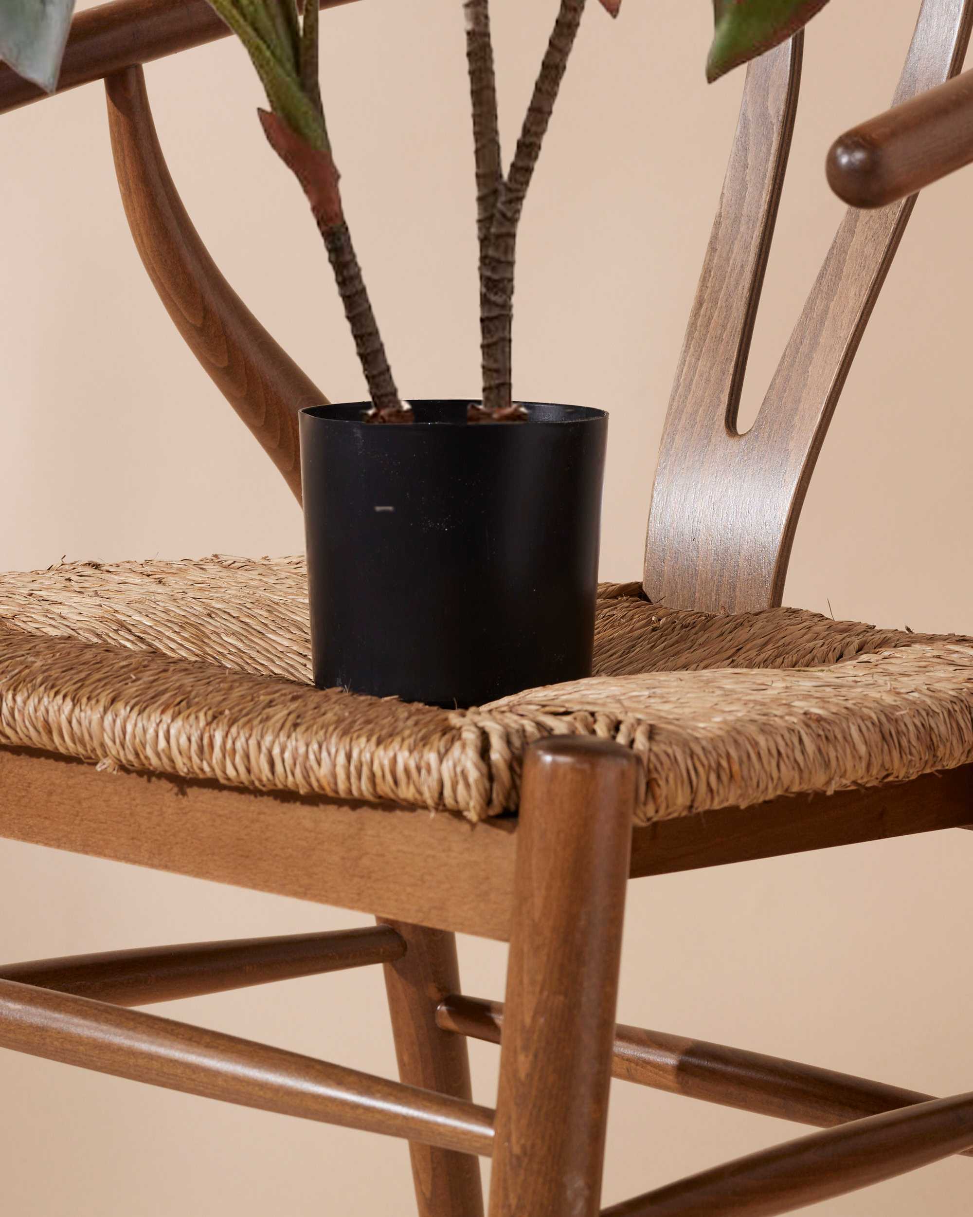 Kunstplant Cordyline 105 cm - Image 5