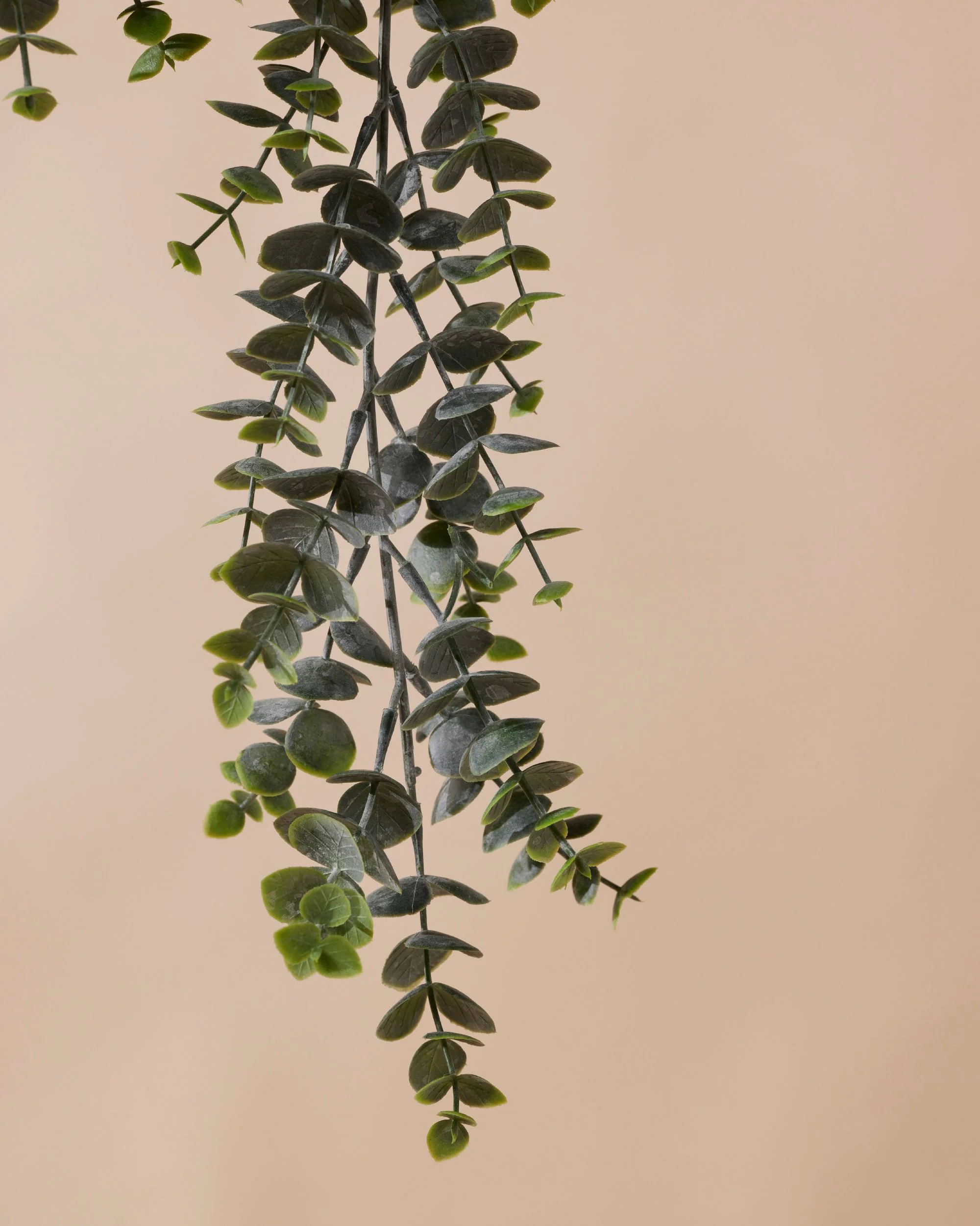 Kunst hangplant Eucalyptus 70 cm in pot - Image 5