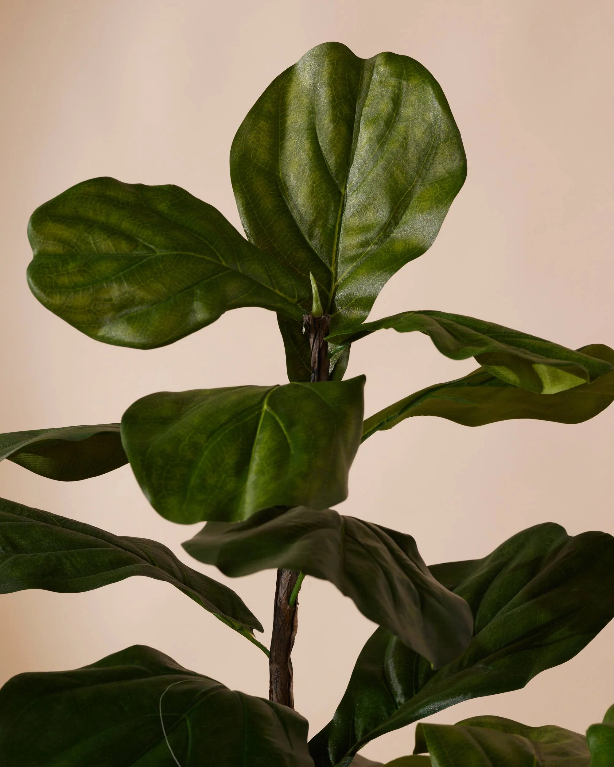 Kunstplant Ficus lyrata 180 cm - Image 3