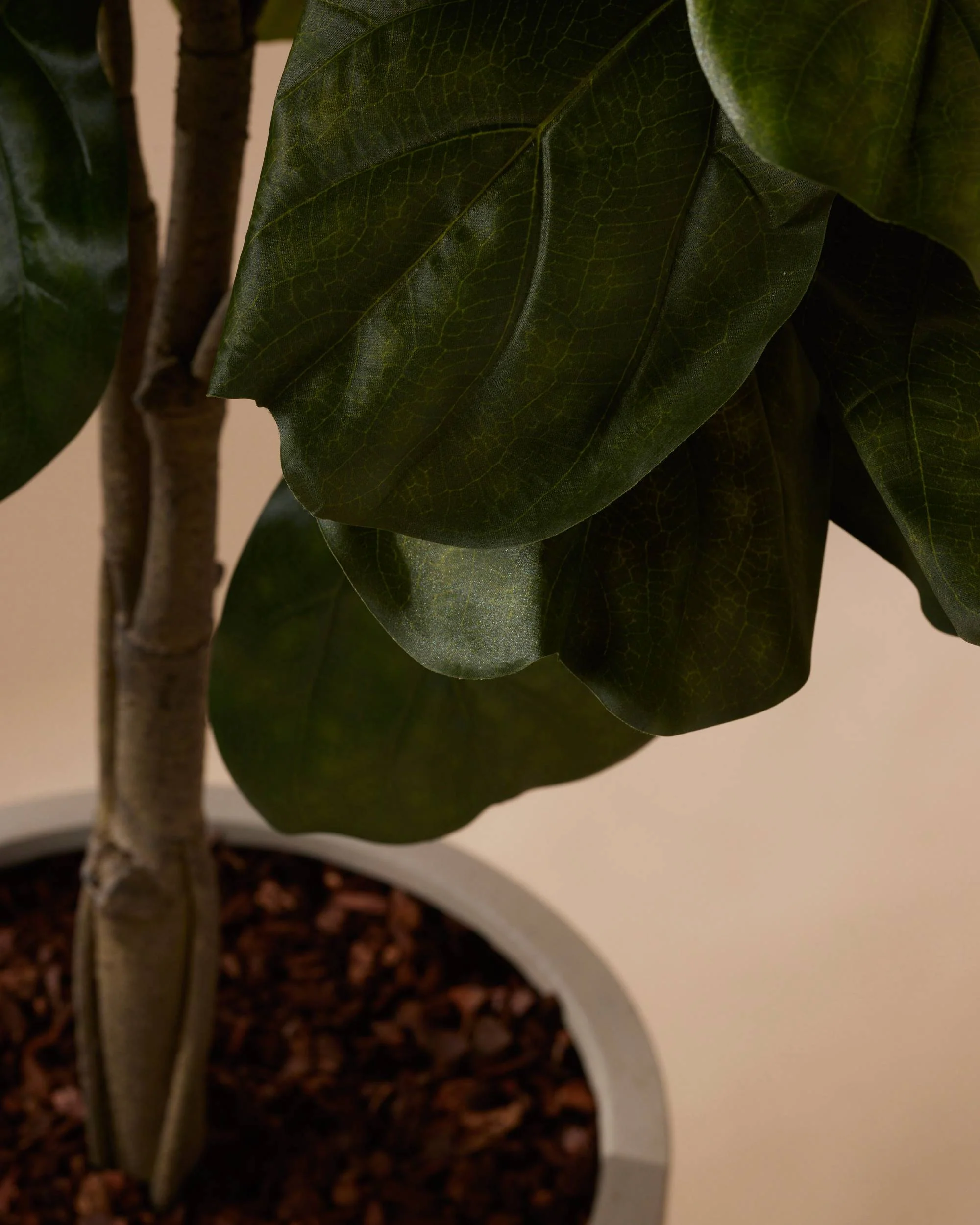 Kunstplant Ficus lyrata 180 cm - Image 6
