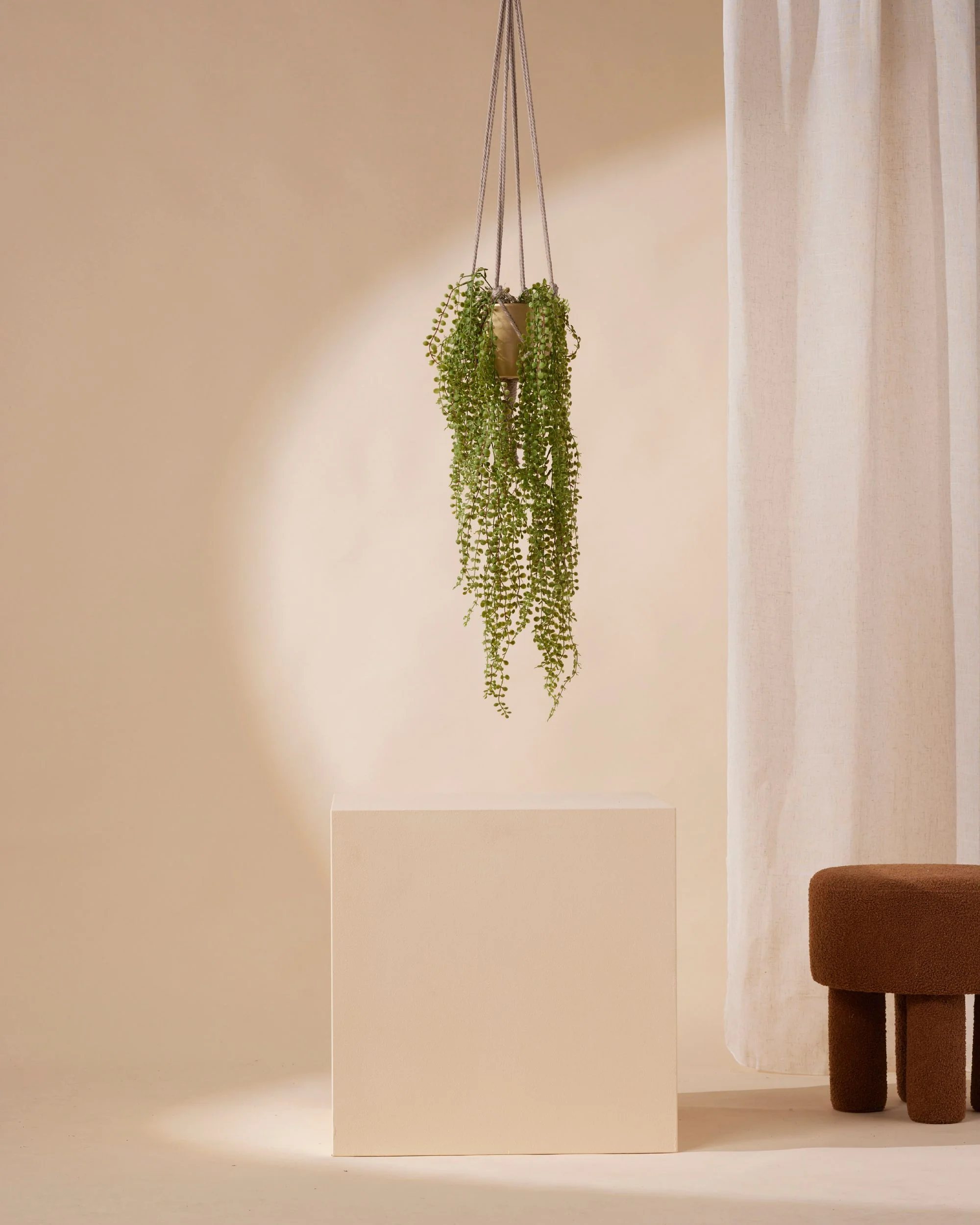 Kunst hangplant Ficus pumila 50 cm in pot - Image 3