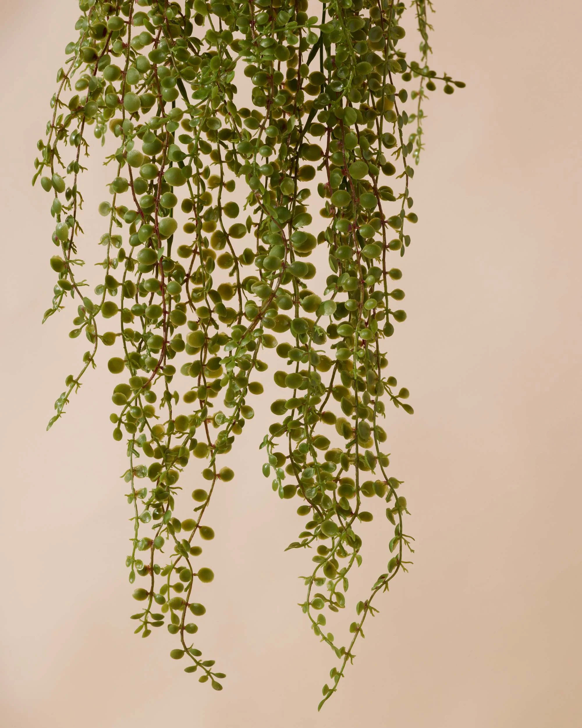 Kunst hangplant Ficus pumila 50 cm in pot - Image 5