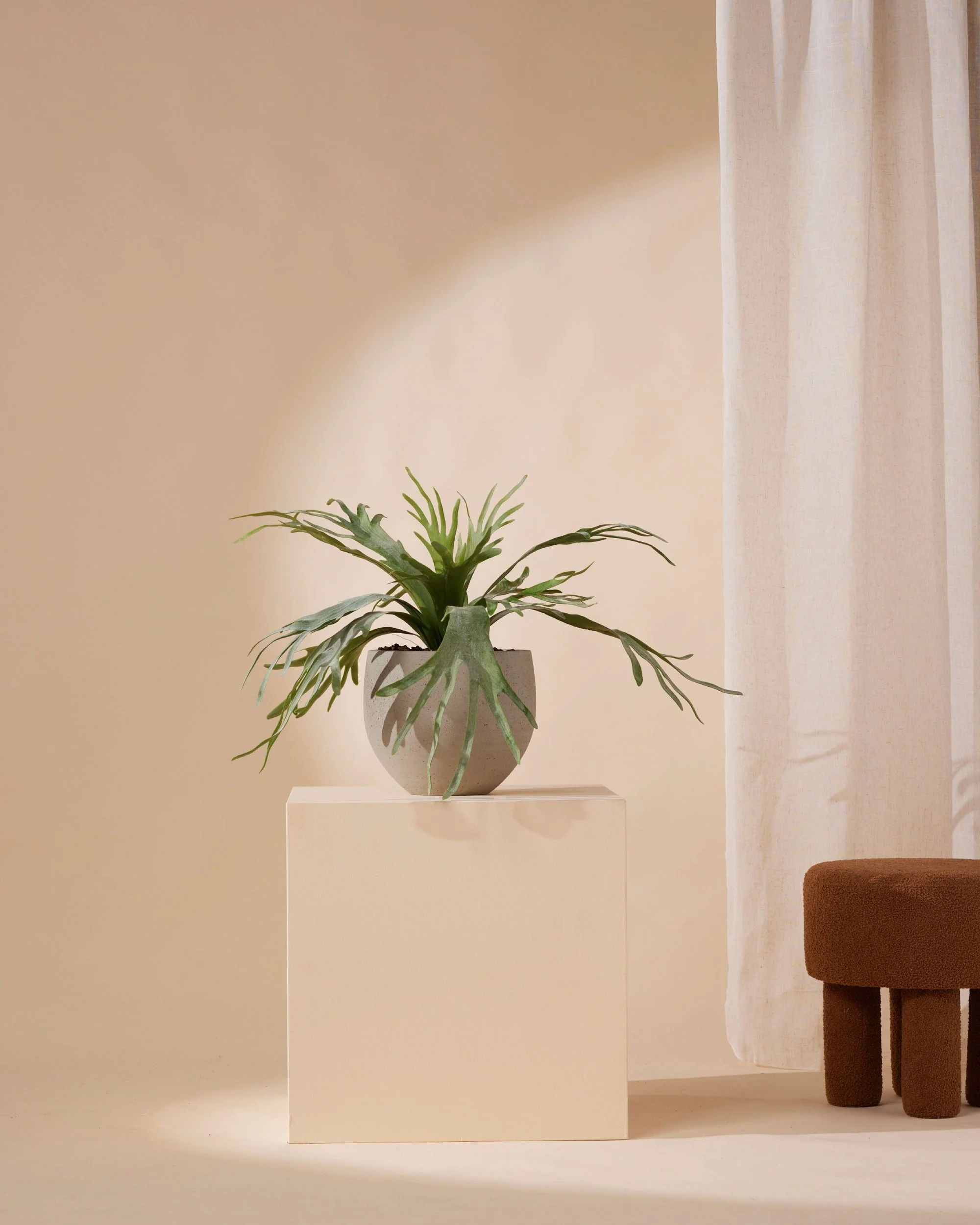 Kunstplant Hertshoorn varen 60 cm - Image 3