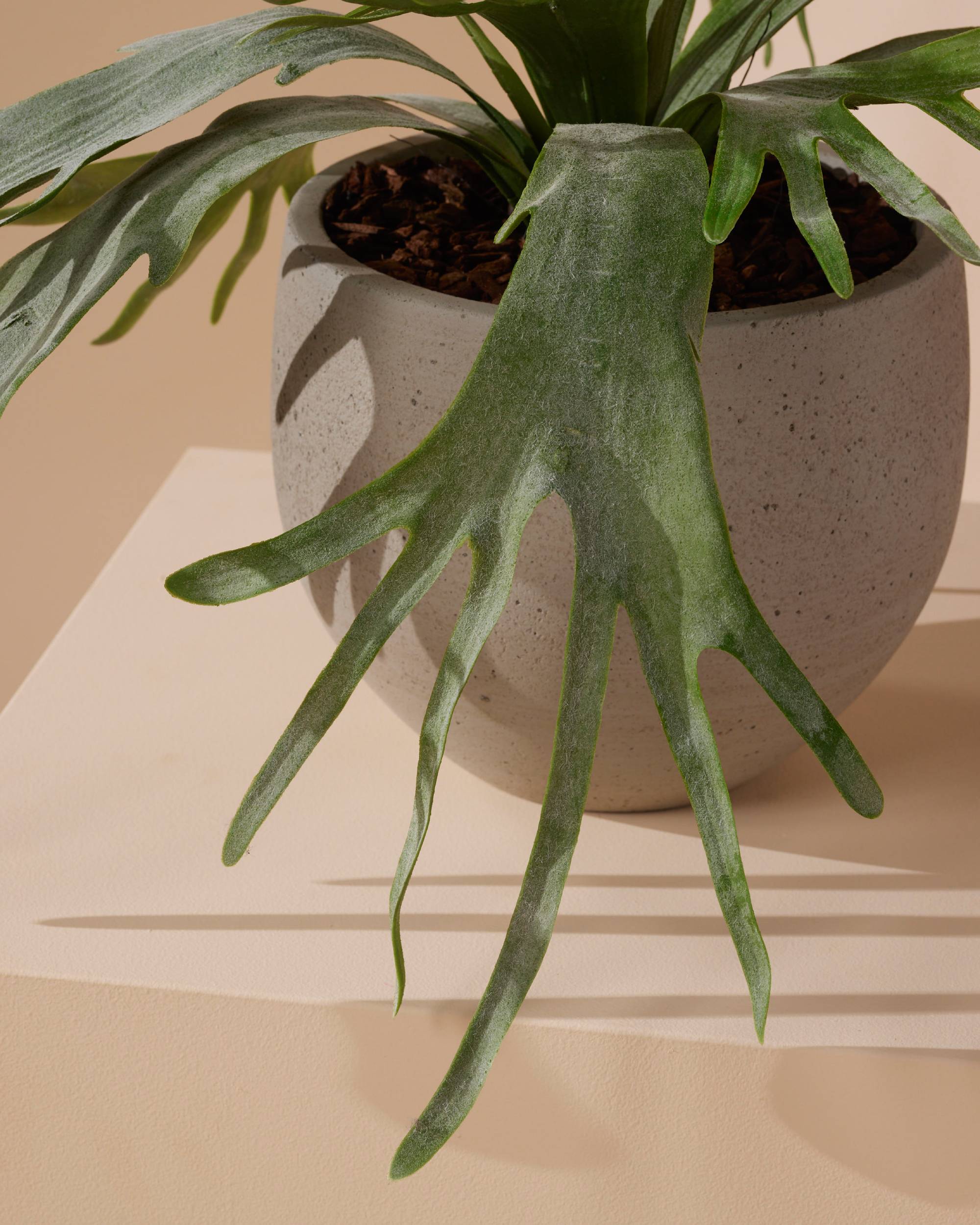 Kunstplant Hertshoorn varen 60 cm - Image 4