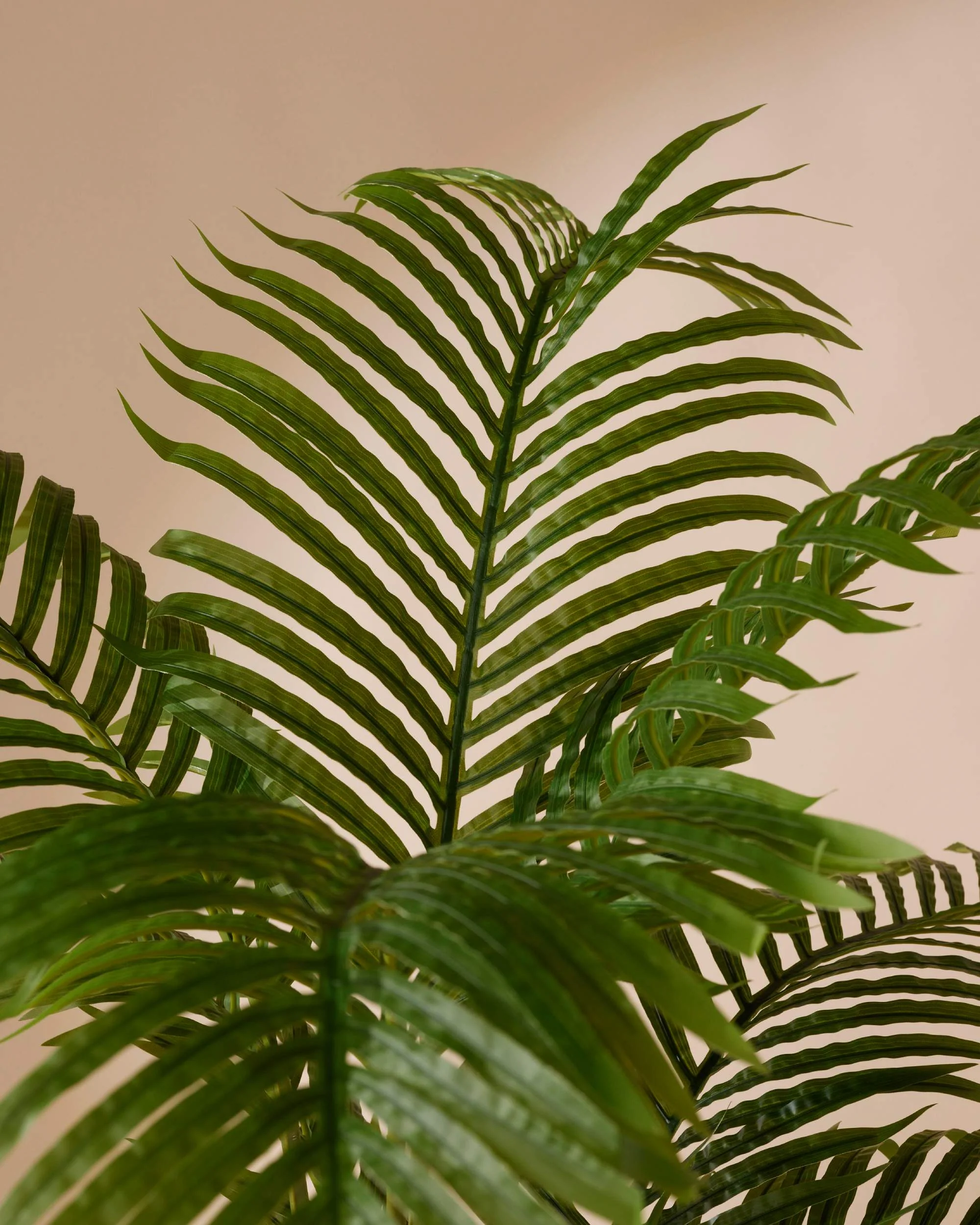 Kunstplant Palm 160 cm - Image 3