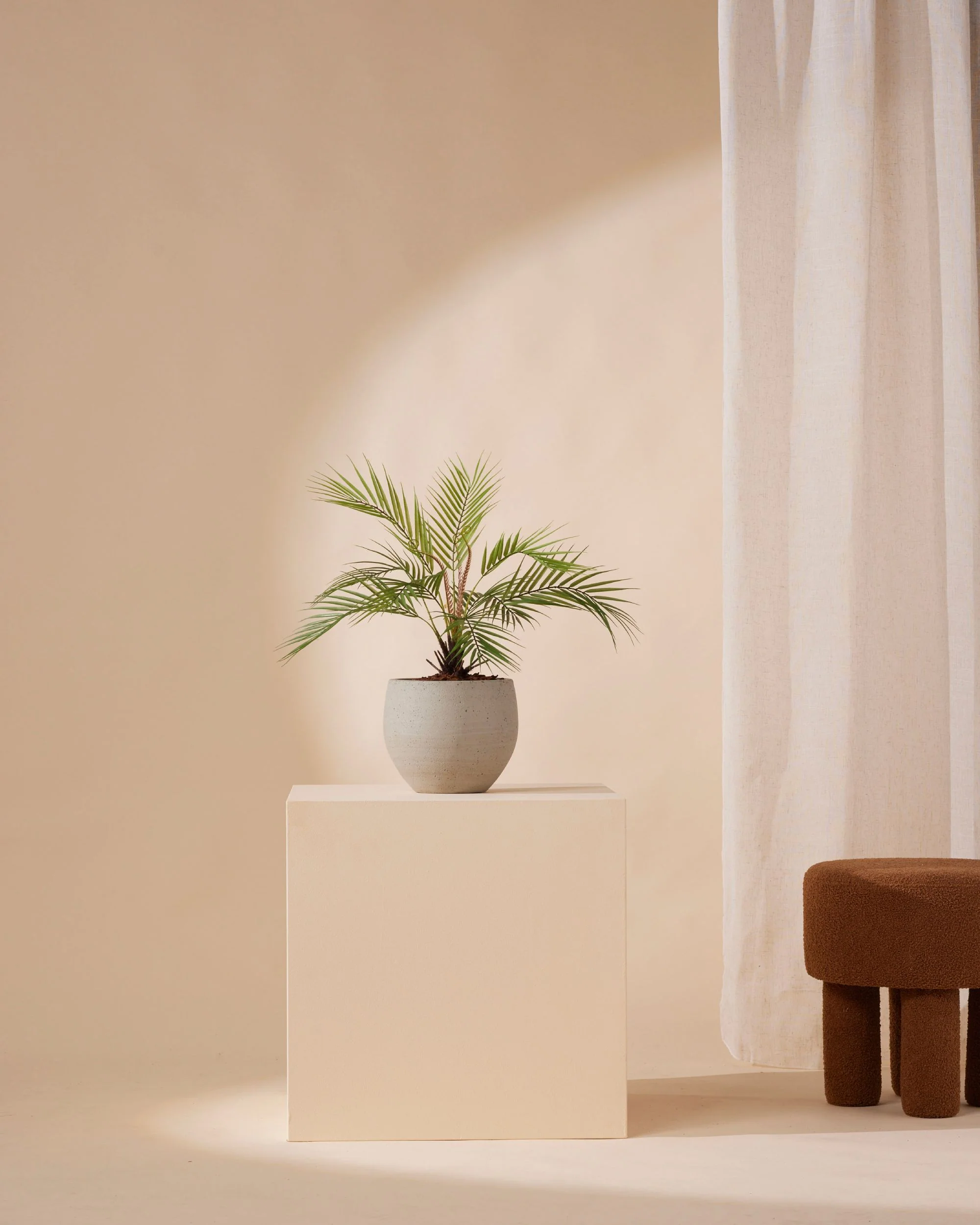 Kunstplant Palm chamaedora 50 cm - Image 3