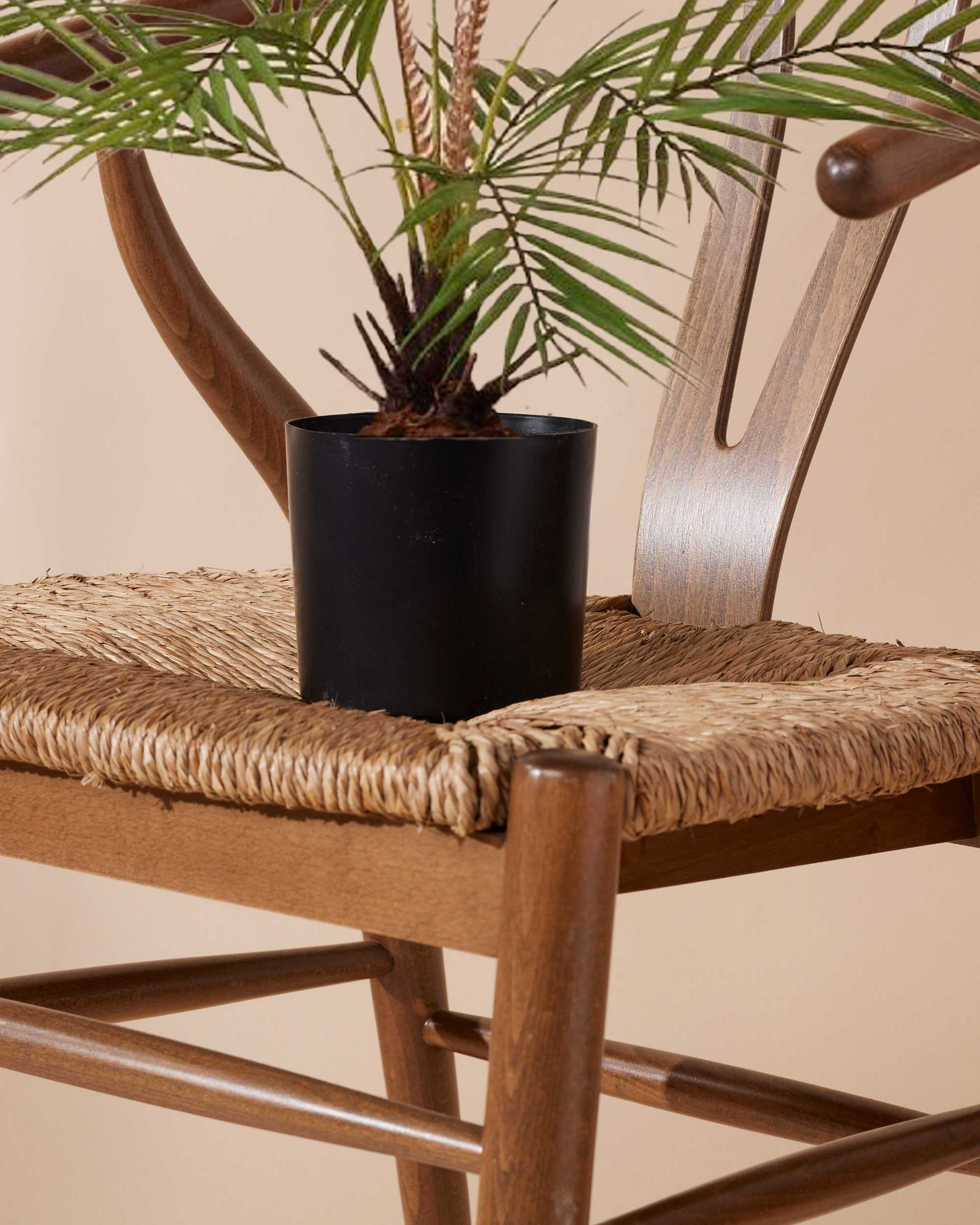 Kunstplant Palm chamaedora 50 cm - Image 4