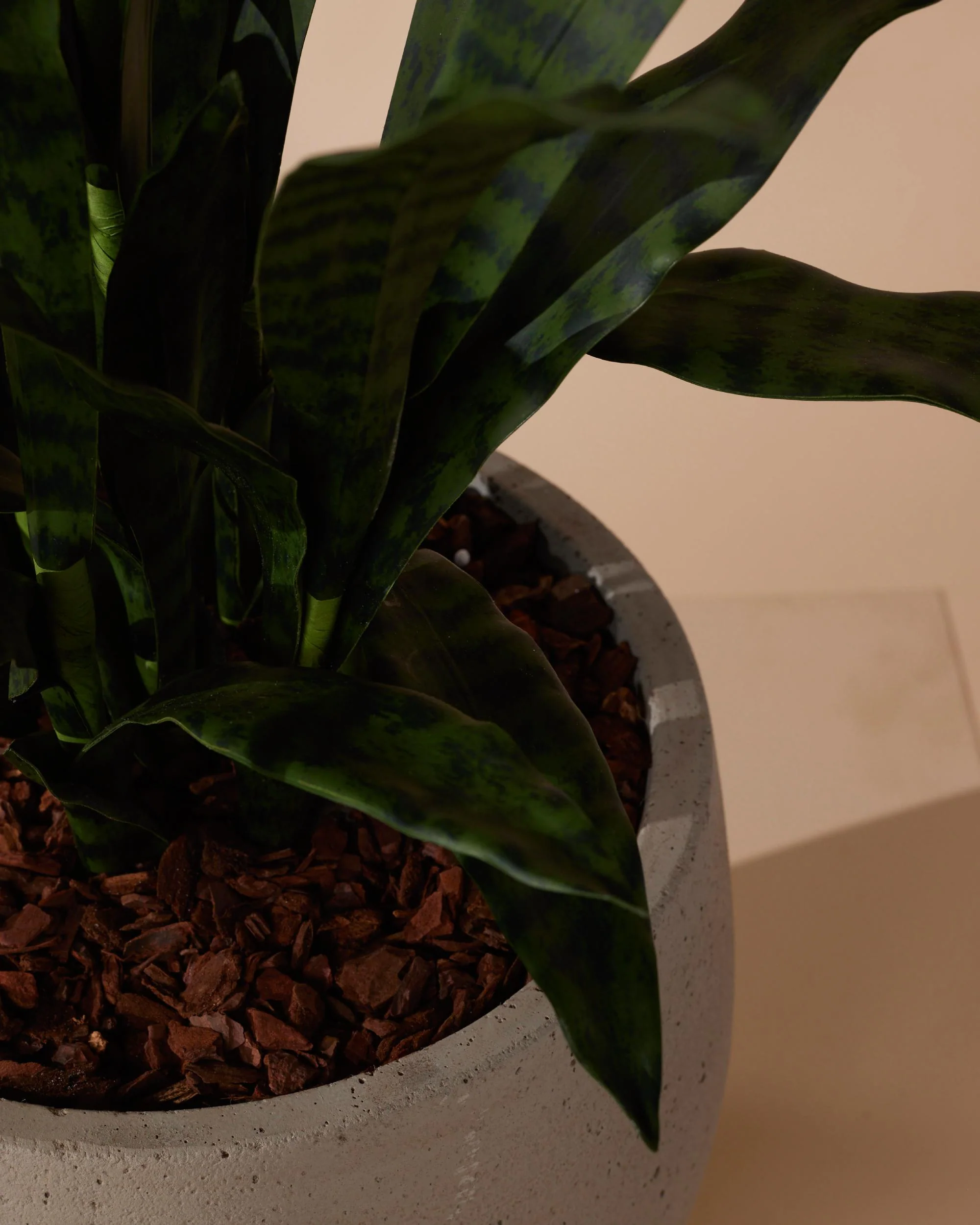 Kunstplant Sanseveria 97 cm - Image 4