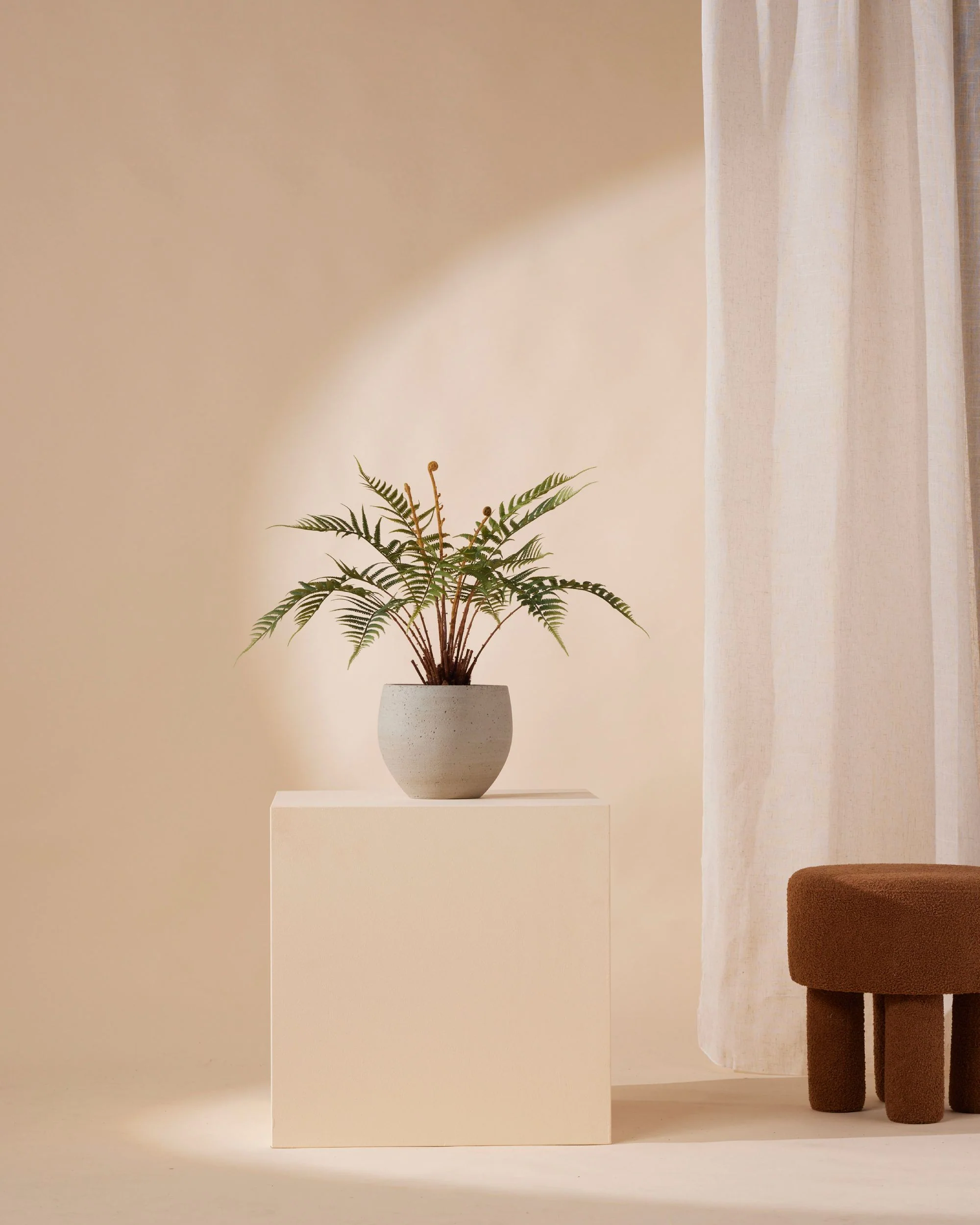 Kunstplant Varen dicksonia 60 cm - Image 3