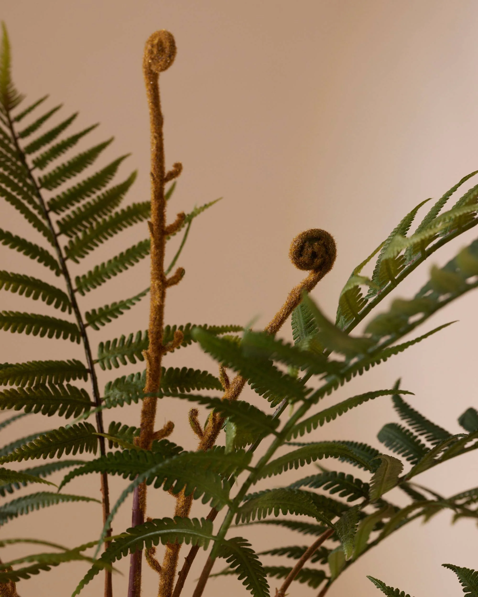 Kunstplant Varen dicksonia 60 cm - Image 4