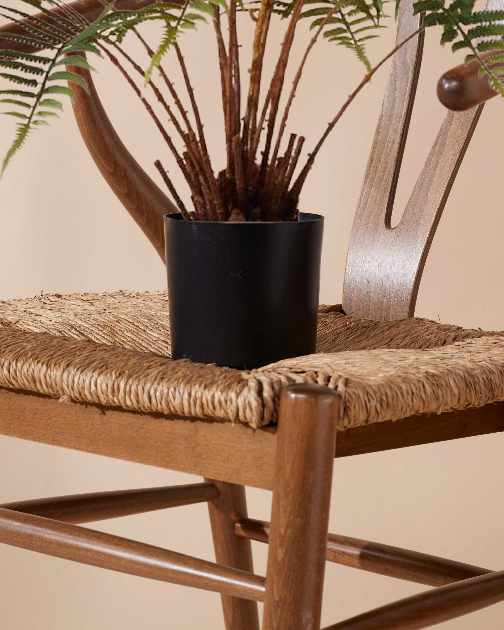 Kunstplant Varen dicksonia 60 cm - Image 5