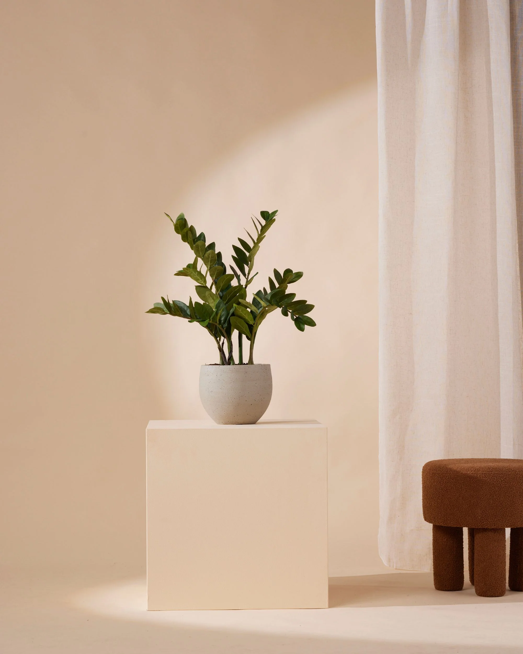 Kunstplant Zamioculcas 70 cm - Image 3