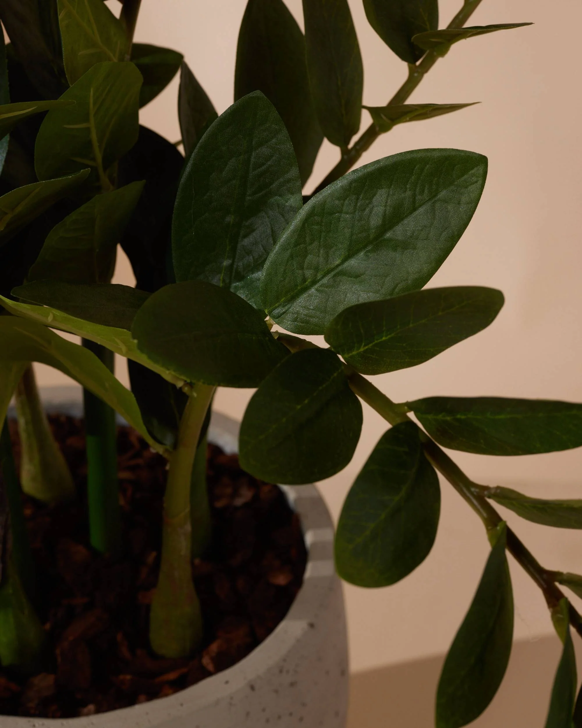 Kunstplant Zamioculcas 70 cm - Image 4