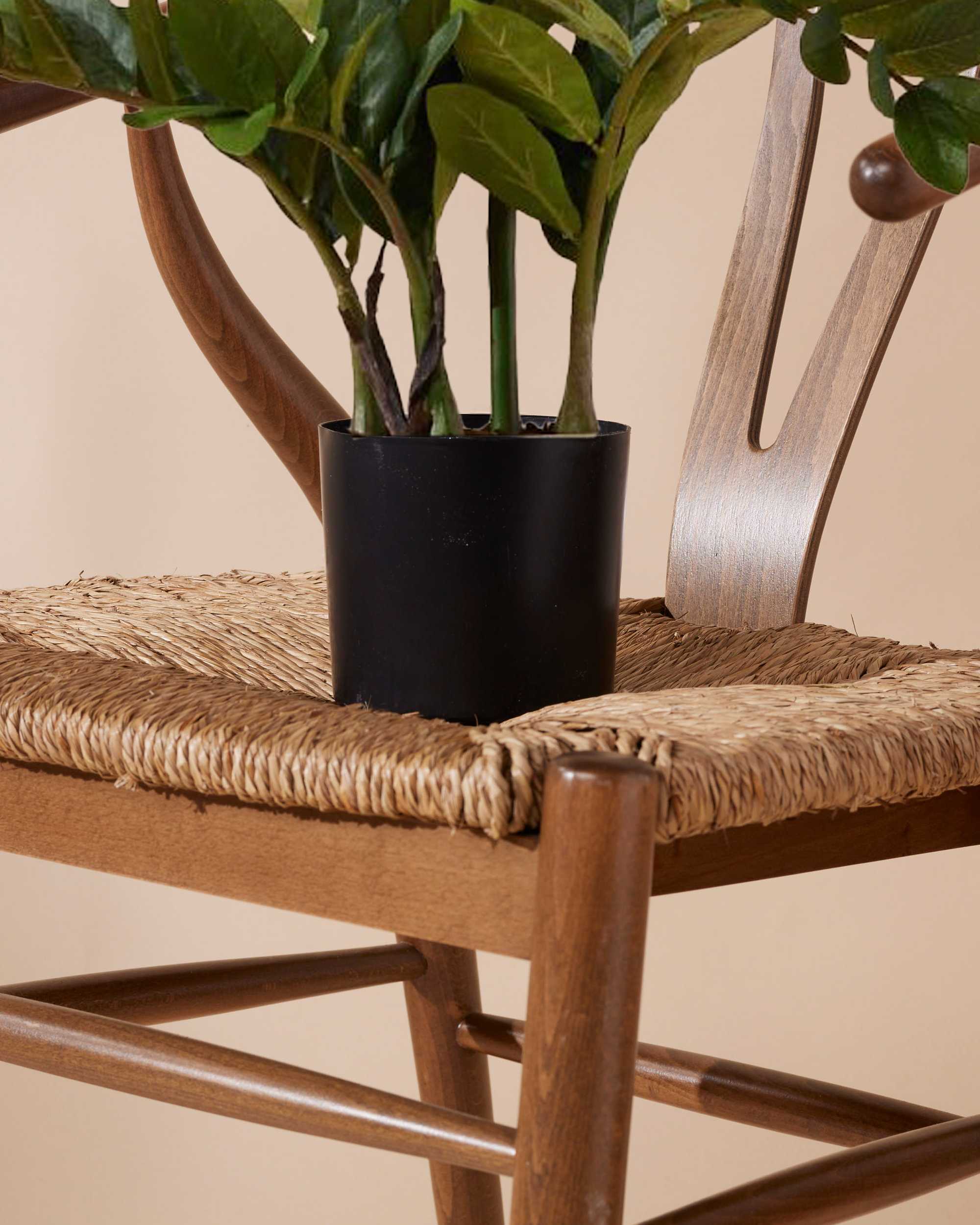 Kunstplant Zamioculcas 70 cm - Image 5