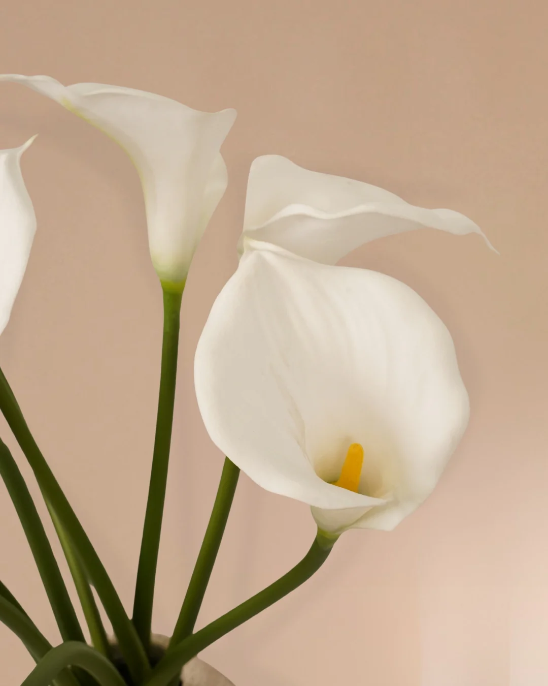 Negen calla's 70 cm - Image 4