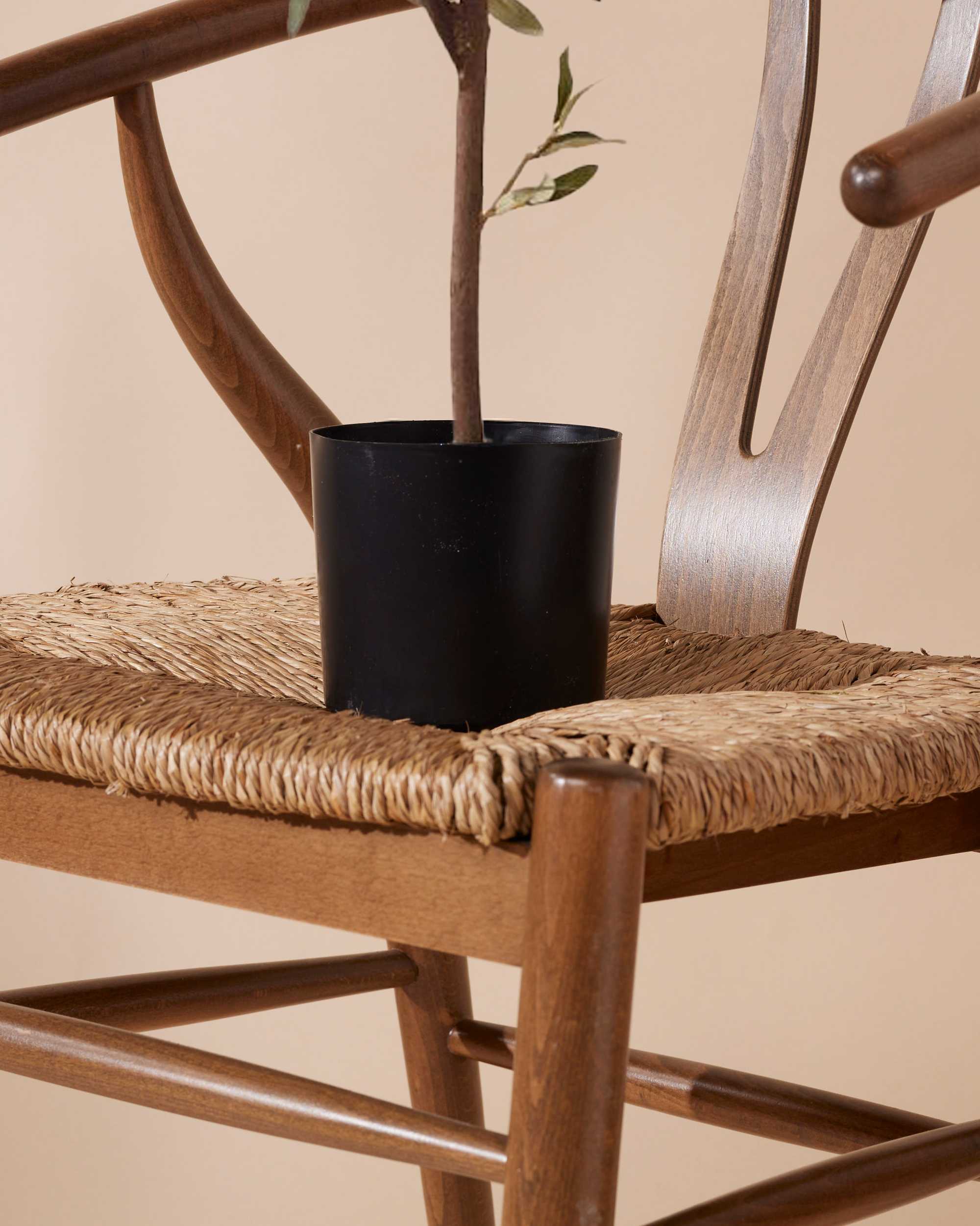 Kunstboompje Olijf 65 cm - Image 5